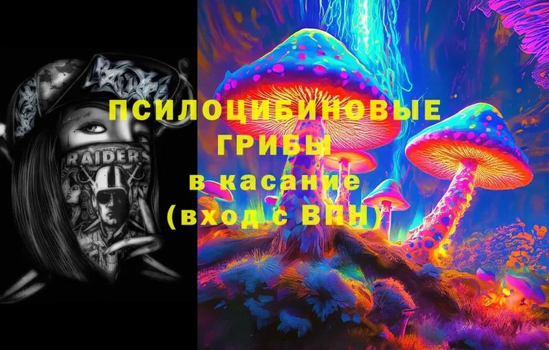 Галлюциногенные грибы Psilocybine cubensis  купить наркотик  Весьегонск 